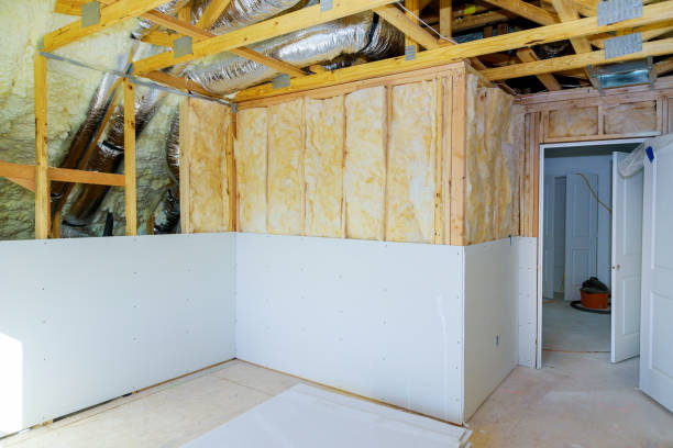 Best Insulation Maintenance and Repair in Westwood Shores, TX